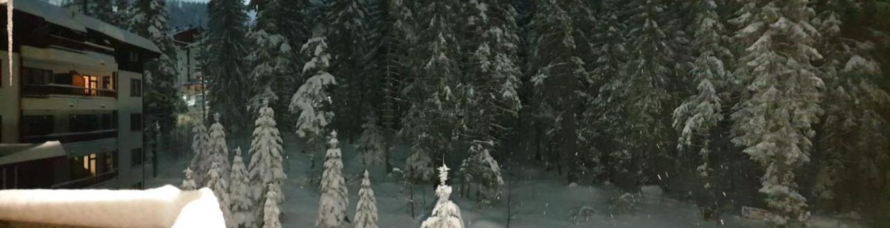 Charming Winter Studio Боровец Екстер'єр фото